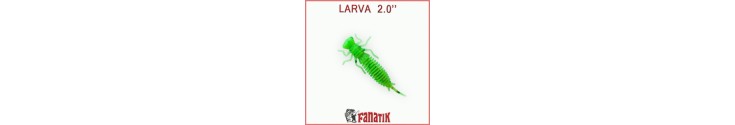 Larva 2"