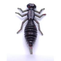 Beetle 1.5" #18