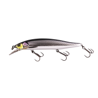 RV-Minnow 110SP RV Silver