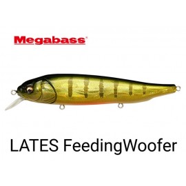 Megabass Lates GG Kinkuro Perch